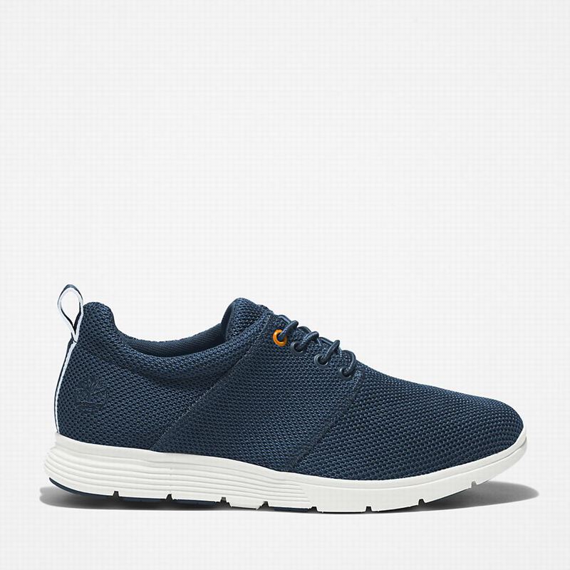 Timberland Killington Oxford Sneakers Blue | 51060872
