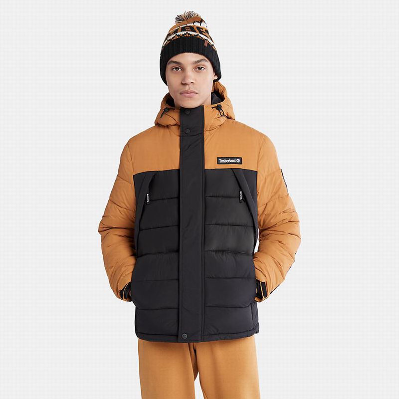 Timberland Mount Kelsey Field Puffer Jackets Black | 3720143