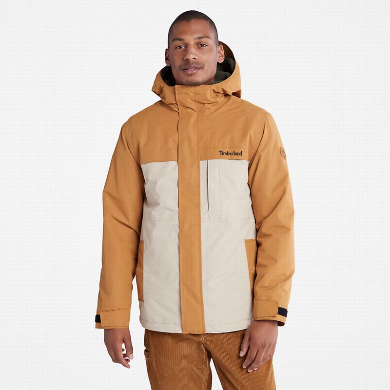 Timberland Mount Redington Waterproof Jackets Brown | 290744