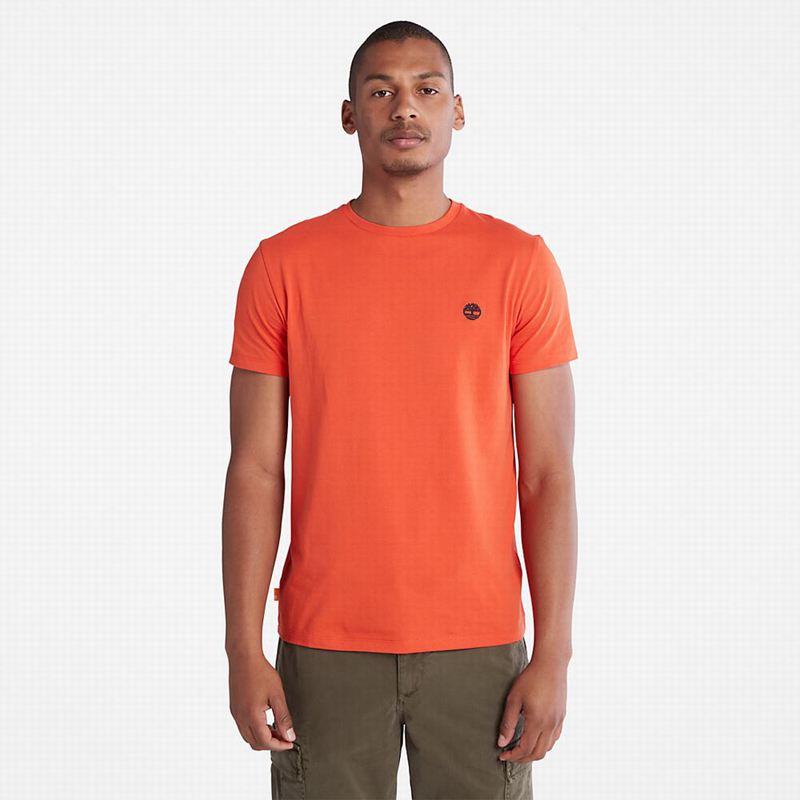 Timberland Mountains-to-Rivers T-Shirts Orange | 96572291