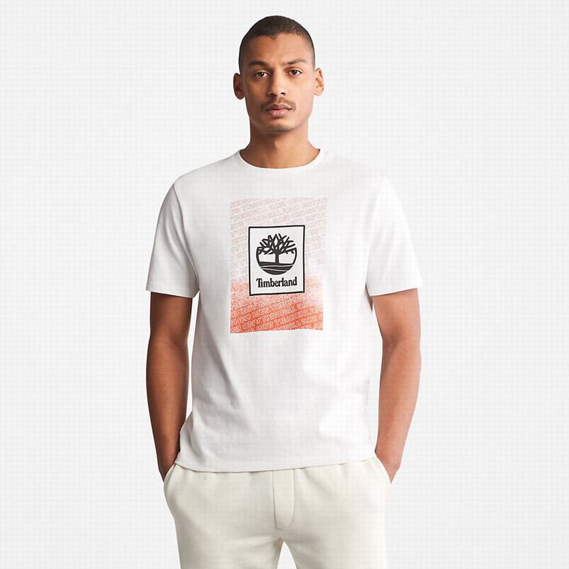 Timberland Multi-logo T-Shirts White | 24008609