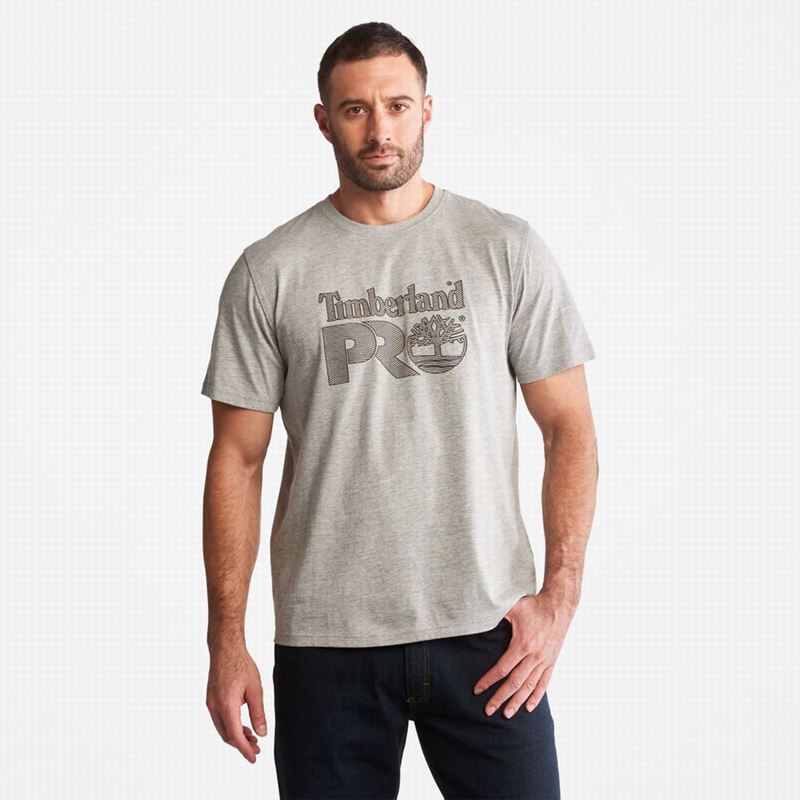 Timberland PRO Cotton Core Logo T-Shirts Grey | 78274677