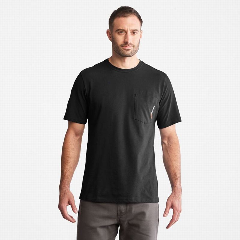 Timberland Paint Pride T-Shirts Black | 42420994