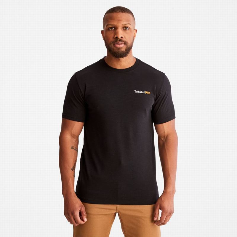 Timberland Paint Pride T-Shirts Black | 74598399
