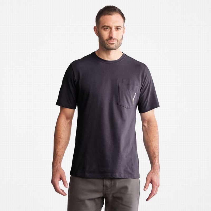 Timberland Paint Pride T-Shirts Navy | 74866988