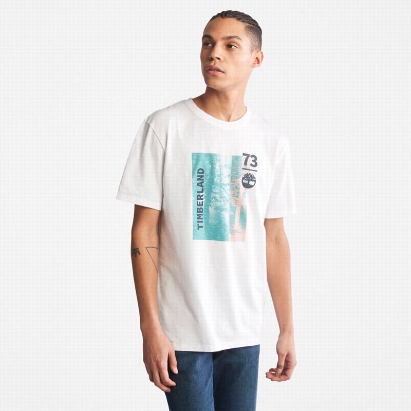Timberland Paint Pride T-Shirts White | 43483998