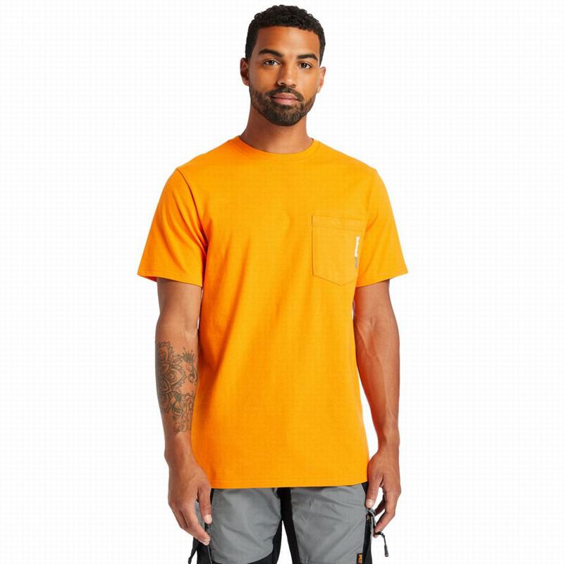 Timberland Photo T-Shirts Orange | 28904741