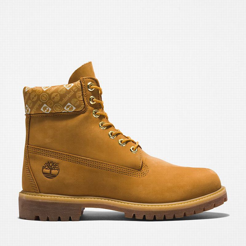 Timberland Premium 6 Inch Boots White | 65381845
