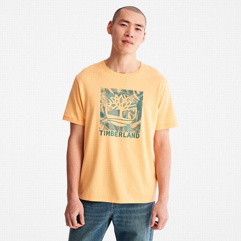 Timberland Raglan-sleeve Logo T-Shirts Orange | 30266006
