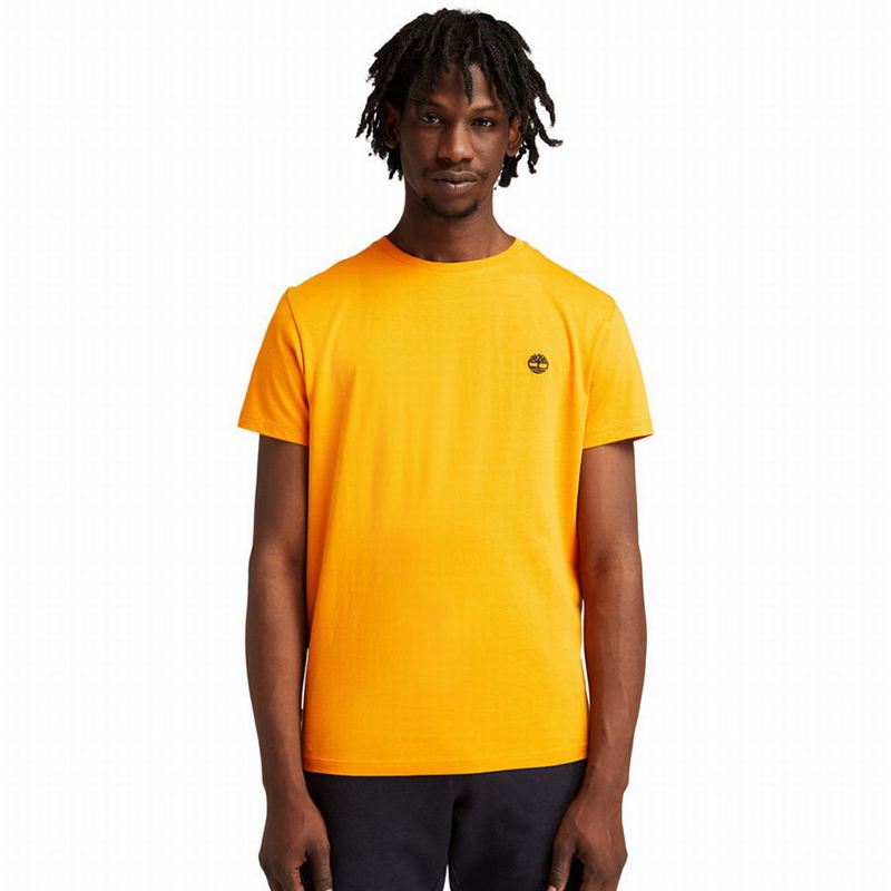 Timberland RefibraGraphic T-Shirts Orange | 12848066