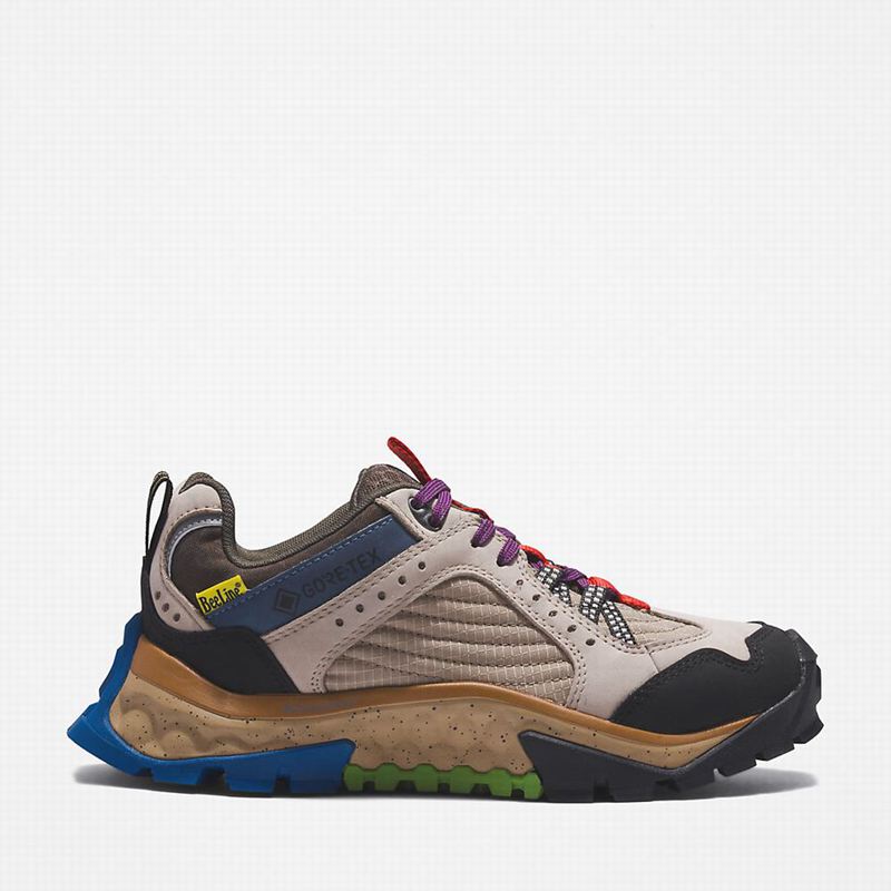 Timberland Solar Ridge Hiking Shoes Beige | 32053745