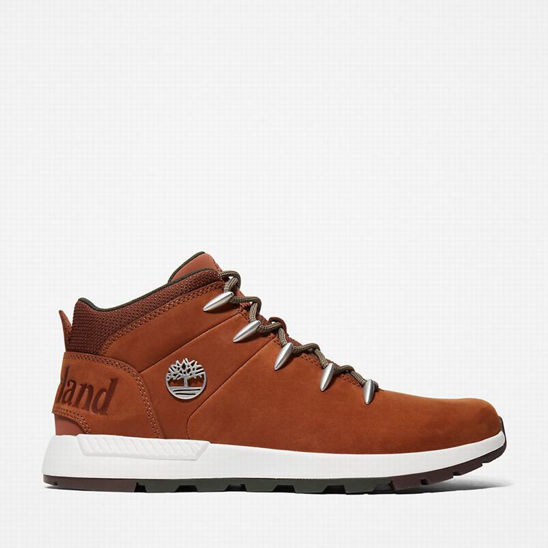 Timberland Sprint Trekker Chukka Boots Brown | 71075917