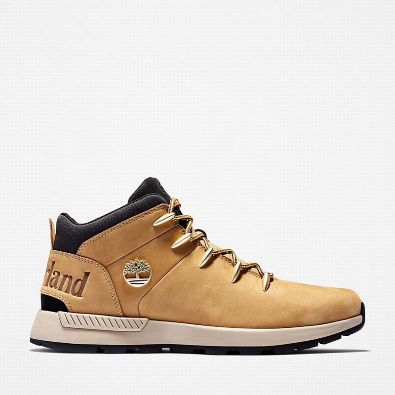 Timberland Sprint Trekker Chukka Boots Yellow | 56489929
