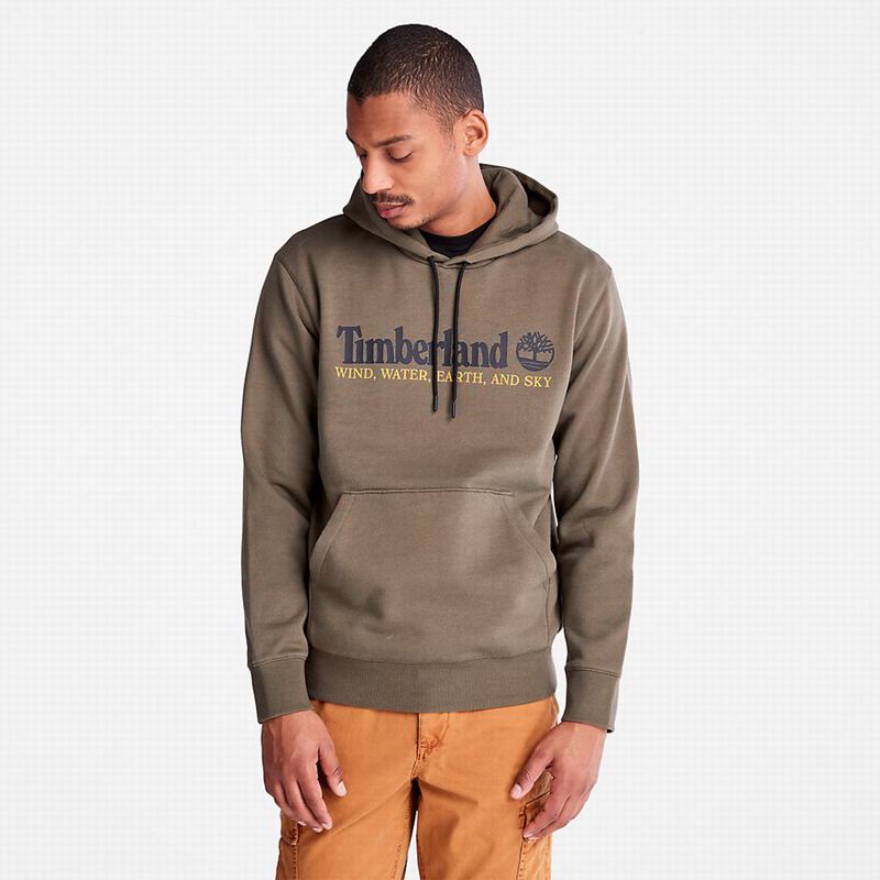 Timberland Wind Water Earth and Sky Hoodie Olive | 91221970